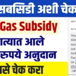 LPG Gas Subsidy