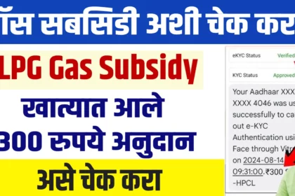 LPG Gas Subsidy